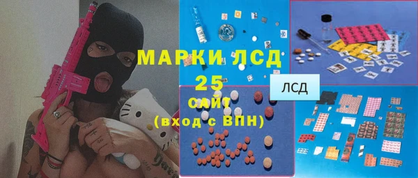 стаф Алзамай